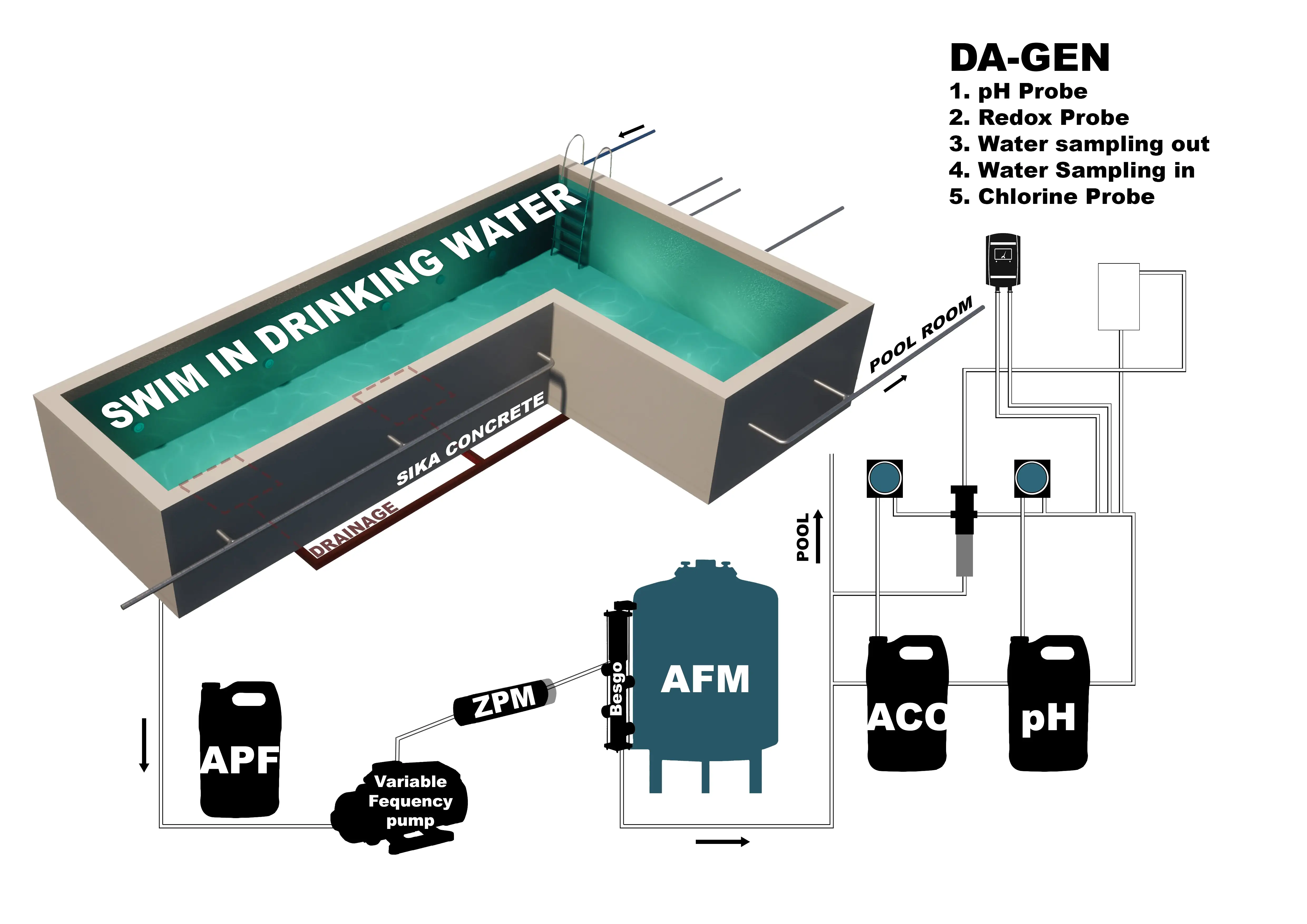 commercial swimming pool 1