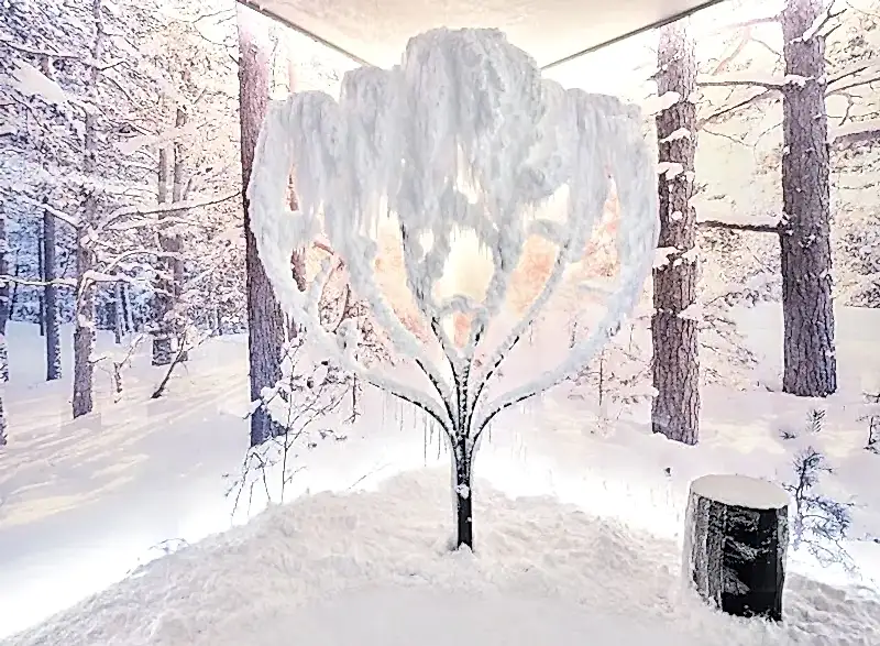 FOREST DESIGN SNOWROOM