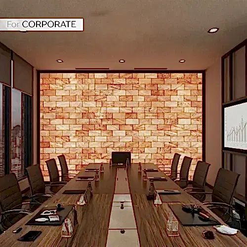 himaliyan salt wall brick for office corporate