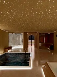 private wellness render work 5